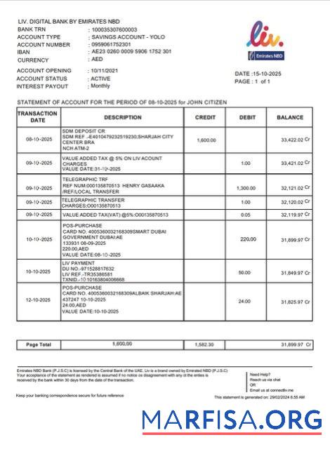 Realistic UAE Liv. Digital bank statement word example